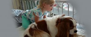 Una pequeña niña observa curiosamente al perro que esta frente a ella. Ambos están encima de una cama de hospital.